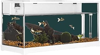 Lidzopas Fish Tank, Rectangular Aquarium Tank Clear Acrylic Aquarium Tank Top Circulating Filtration System, Silent Water Pump for Goldfish Small Fish& Home Office Desktop Decorative,38x14x18cm
