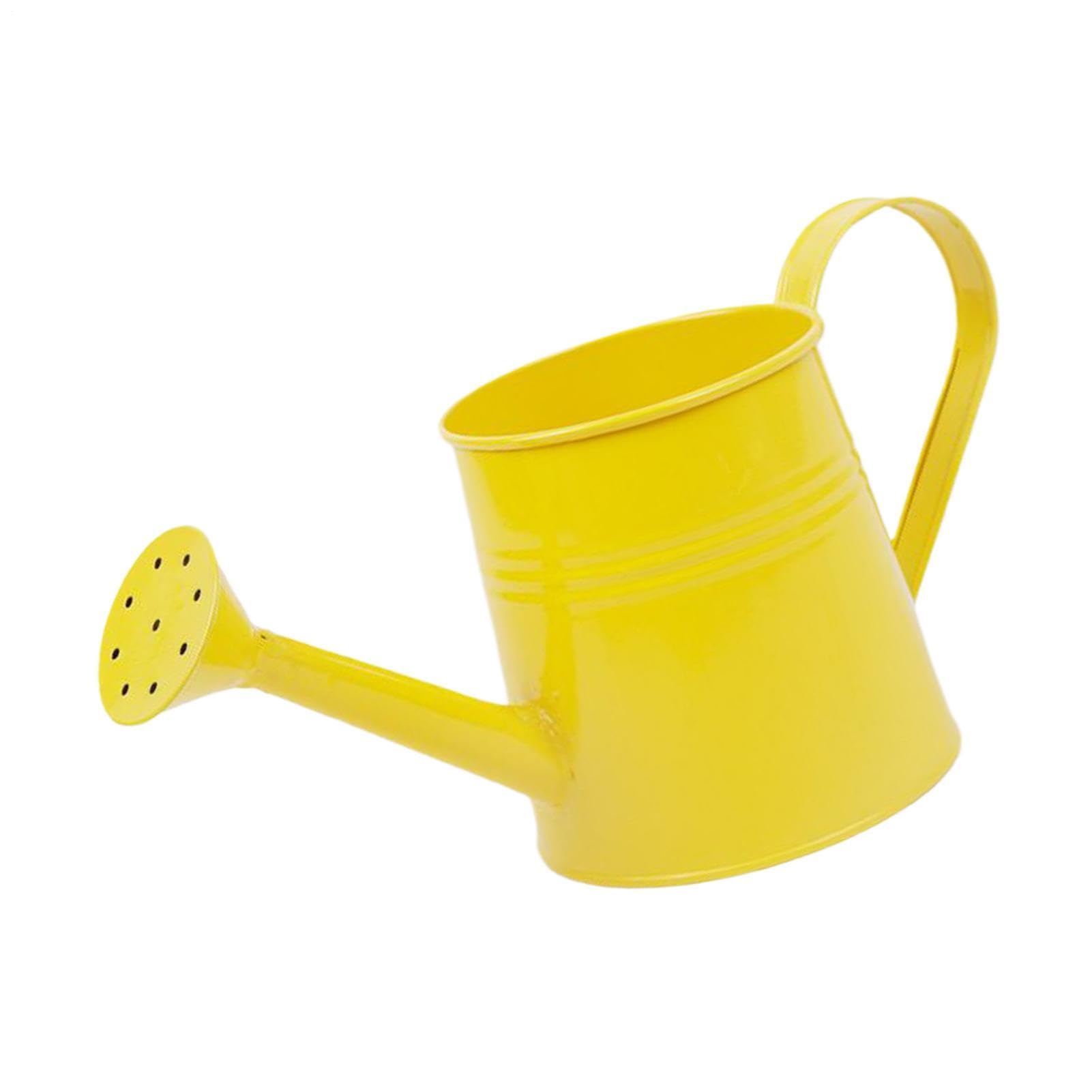 Petit arrosage peut les intérieures 1L avec pot jardinière métal pour serre