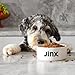 Jinx Premium Dry Dog Food, Real Salmon, Brown Rice & Sweet Potato Kibble with Superfoods & Probiotics, No Fillers, for All Lifestages, 11.5lb