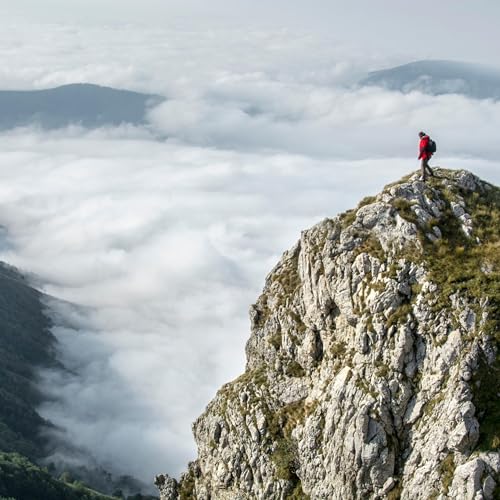 The Hidden Cost of Climbing the Wrong Mountain Podcast Por  arte de portada
