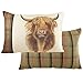 Evans Lichfield Hunter Housse de Coussin Motif Vache Highland Multicolore 40 x 60 cm