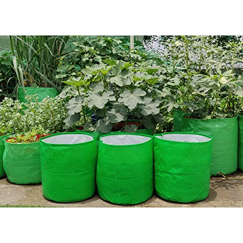 ORGANIC BAZAR 12"x12" Grow Bag for Home Garden | HDPE 260 GSM Premium Green Planter (Pack of 10)
