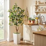 5FT Artificial Lemon Tree with Pot - 60" Fake Lemon Tree with White Tall Planter, Faux Lemon Plant with Realistic Fruits and Silk Leaves, Artificial Plants Indoor for Home Office Kitchen Decor