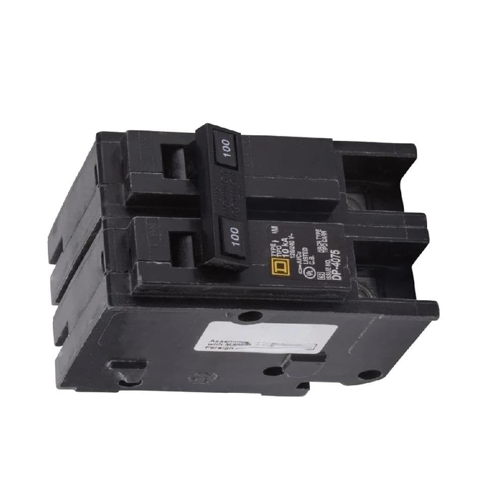 Interruttore Automatico Bipolare 2100CP Da 100 A Componenti elettrici