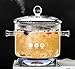 1.5L Olla de cristal para Placa de Inducción, Olla multifuncional de vidrio transparente de con tapa para ensalada, sopa de pasta y leche