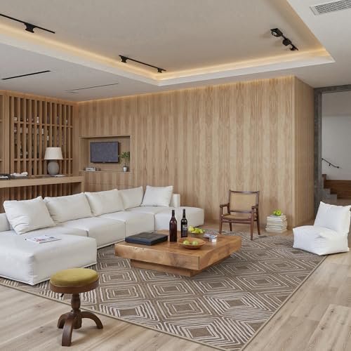 GENIMO Checkered Area Rugs 8x10, Minimalist Geometric Living Room Rug,