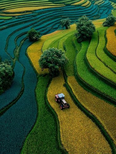 ���� �������G, �r���[ DIY ���G �L�����o�X, �����h��G �܂� �A�N�����y�C���g������ �u���V, Paint by Numbers �K�؂� ��l ���S��, �M�t�g ����, �H�̑���, �z�[�� �I�t�B�X����, �ƒ��I�t �B�X�̕Ǒ���, 90x110