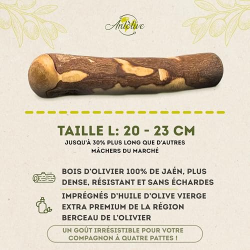 Anlolive | Pack de 2 Jouets à Mâcher Naturels Taille L 20-23 cm | Chiens Moyens et Grands | Bois d'olive | Résistant, Sain et Sûr | Soins Dentaires et Soulagement du Stress – vue 5