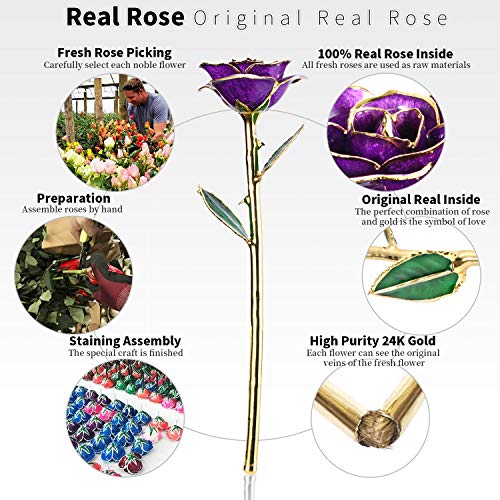 Image of Anniversary Rose Gift for Wife, Forever 24k Gold Real Rose and Best for her Rose, Purple with Stand