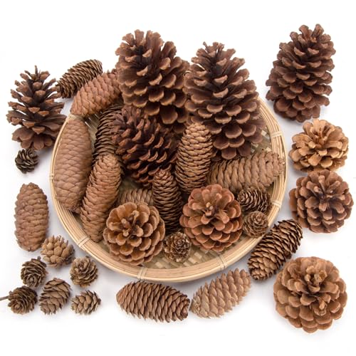JOHOUSE 50PCS Large Natural Pinecone Ornaments...