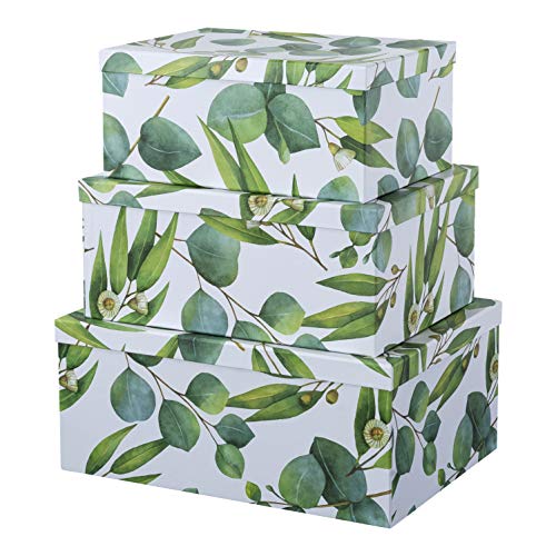 Sprigs of Green Decorative Storage Boxes Soul & Lane