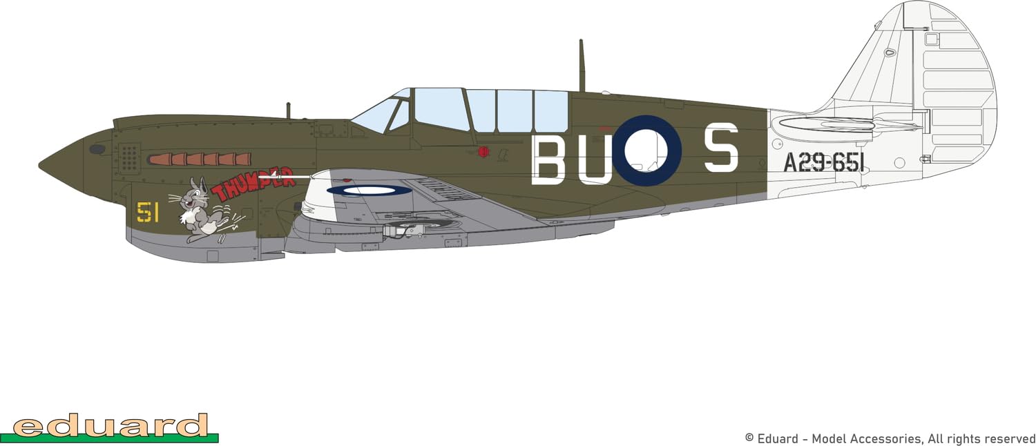 Edualdo 1/48 Profi Pack P-40N Warhawk Kunststoff Modell EDU82242 (Flugzeug)