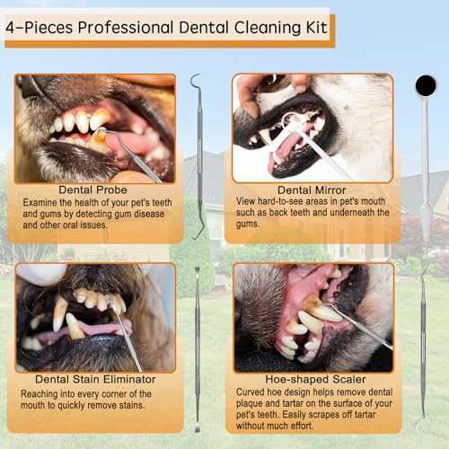 Image of Dog Electric Toothbrush Kit, Pet Plaque and Tartar Remover Tool, Pet Toothbrush Cleaning Kit, Sonic Toothbrush Cleaner for Pets Dental Care, Dogs Toothbrush Cleaning Kit