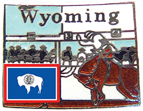 Mapa de Wyoming de silueta geográfica para cuadro decorativo de pared de oficina