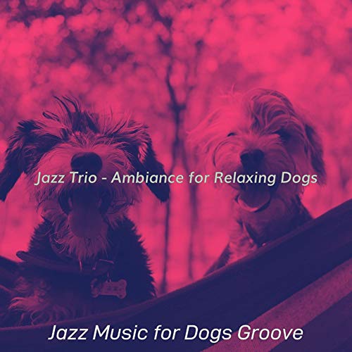 Play Jazz Trio Ambiance for Relaxing Dogs by Jazz Music for Dogs