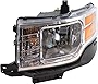 Evan Fischer Headlight Assembly Compatible with 2009-2012 Ford Flex Halogen SE/SEL Models CAPA Driver Side