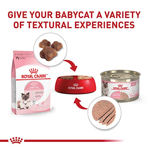 Royal Canin Feline Health Nutrition Mother & Babycat Queen Ultra Soft Mousse in Sauce Cat Food, 3 oz (Pack of 6)
