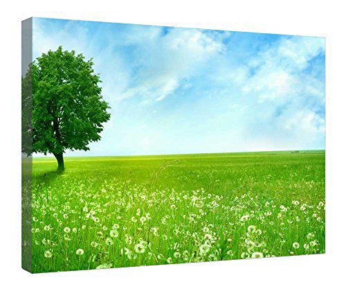 Toile murale cadre en bois pour habiller un mur vide facilement