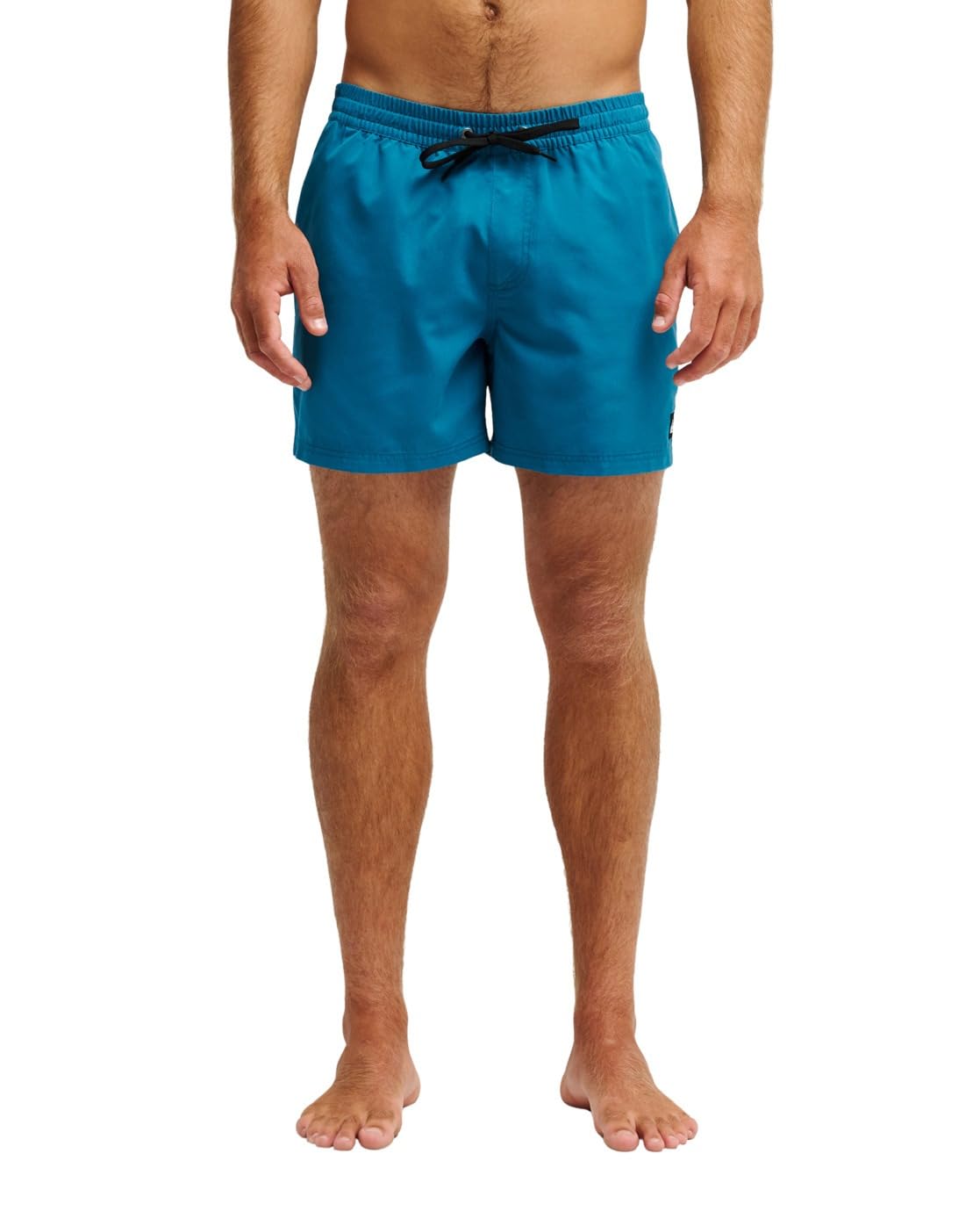 Quiksilver Swim Shorts Everyday Volley 15 Mens Blue
