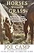Horses Without Grass: How We Kept Six Horses Moving and eating Happily Healthily on an Acre and a Half of Rock and Dirt