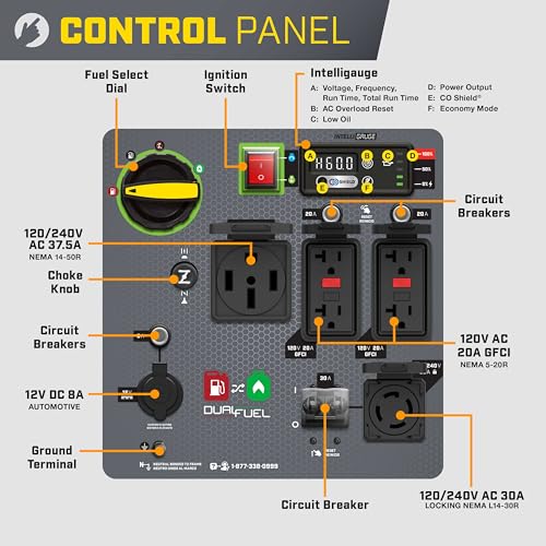 Image of Champion 11,000-Watt Electric Start Dual Fuel Portable Inverter Generator