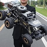 Jiakora Large Size RC Cars, Rock Crawler RC Truck with 2 Rechargeable Batteries, Remote Control Monster Truck, Durable Metal Body & LED Headlights, Boy Toys for 4-7, 8-12 Kids & Adults
