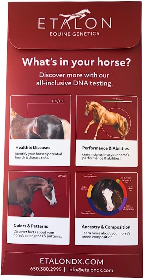 Etalon Equine Genetics Pro Package + Ancestry Horse DNA Test, Genetic Testing Plus Ancestry (70+ Traits) - Identify Equine Breed Composition & DNA - Test for Coat Color, Diseases, Abilities
