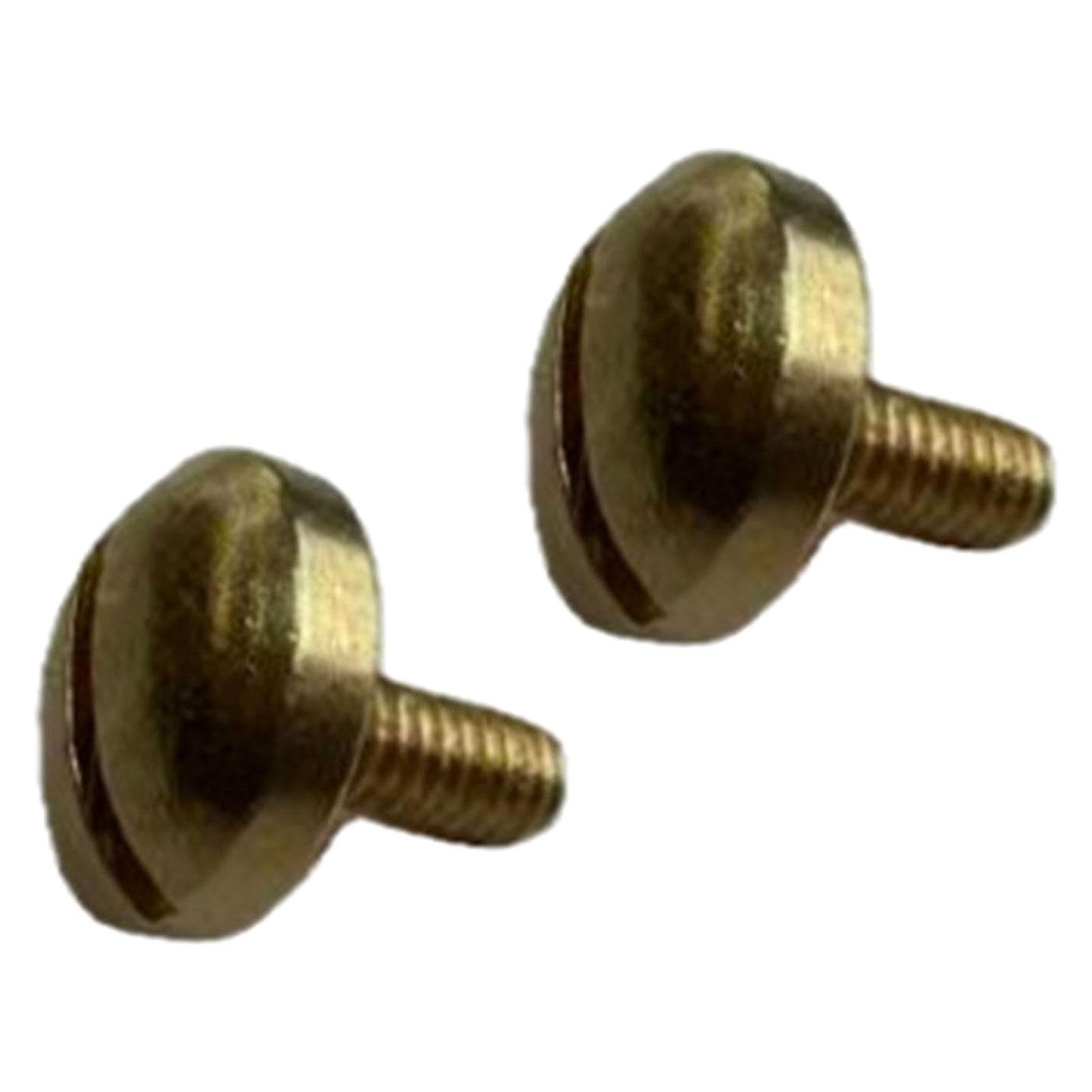 2 Pieces Saxophone Thumb Rest Screws Repair Accessory for Bass Tenor Concert|Musical Instruments & Gear|Wind & Woodwind|Parts & Accessories|Other Accessories-image-10