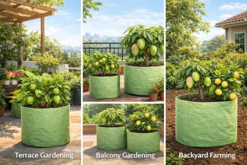 Image of MASHKI 20x30 Inch Extra Deep Grow Bag for Guava, Dwarf Mango & Fruit Plants | 300 & 400 GSM Heavy Duty HDPE | Long Life UV Stabilized Tree Planter for Terrace & Garden (3, 20x30 Inches, 400 GSM)