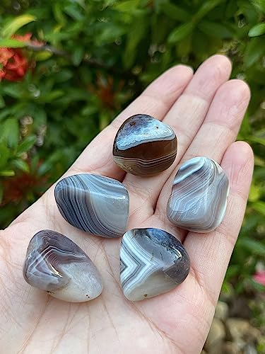 Image of 1 /2 LB Botswana Agate Tumbled Stones, Polished Botswana Agate Gemstone, Botswana Agate Healing Crystals (Botswana Agate)