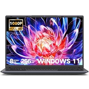 DERE Portátil de 14 pulgadas, 8 GB de RAM, 256 GB SSD Win11 OS 1920 x 1200, pantalla IPS Full HD, procesador Celeron N5805, HDMI, Wi-Fi para uso personal, estudiante y empresarial, gris plateado