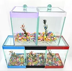 Mini AquáRio | 10 X 10 X 13 Cm | AquáRio Para Peixes Betta