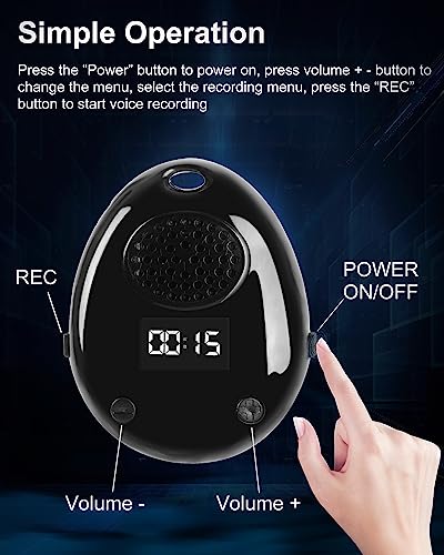 Registratore vocale digitale Registratore ad