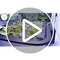 Superior Hydroponic System, Easy Cultivation Success!