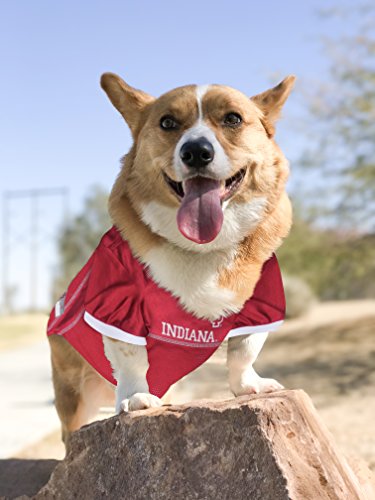 Image of Pets First Collegiate Indiana Hoosiers Dog Mesh Jersey, X-Small