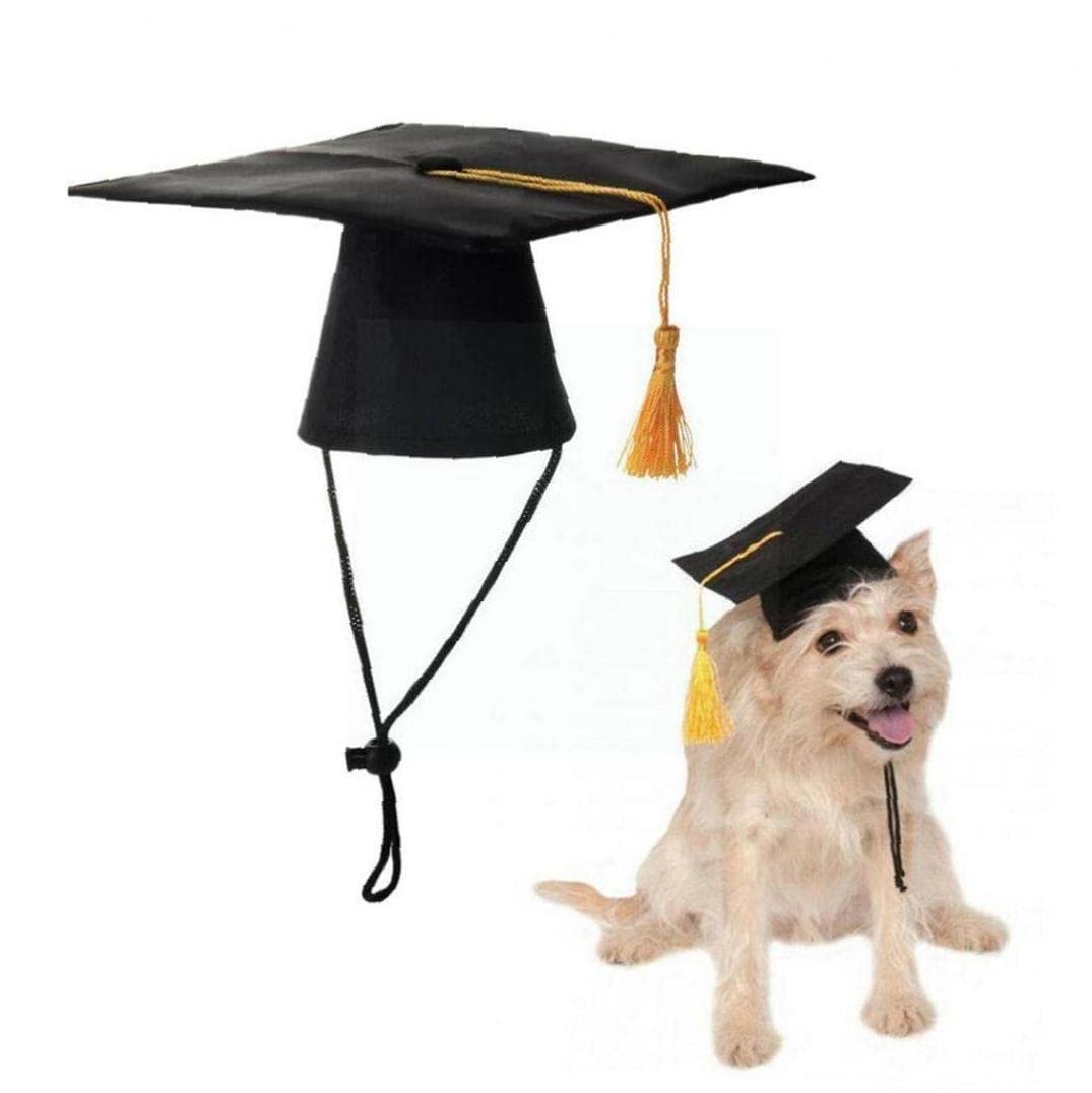 Danlai Black Pet Graduation Caps Dog Graduation Hats With Tassel Costumes For Dogs Cats Hat Holiday Party Apparel Outfits Pet Caps