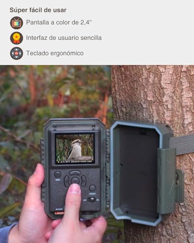 Miniatura 7 de 