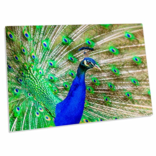 3dRose Alfombrilla de escritorio pavo real 58x40 cm