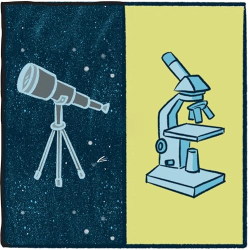 Telescope vs. Microscope: a focused debate Podcast Por  arte de portada