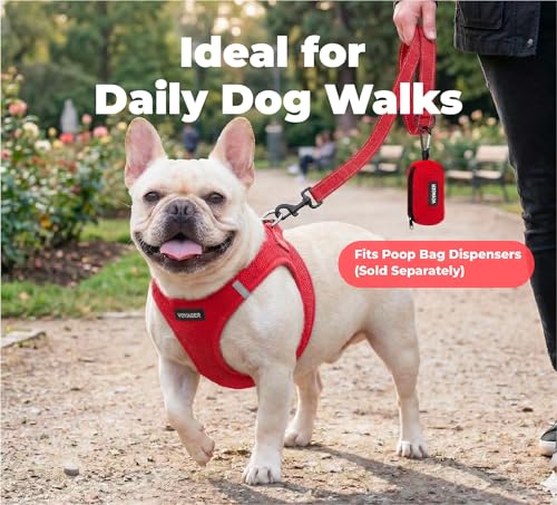 Image of Best Pet Supplies Voyager Reflective Dog Leash or Collar with Neoprene Handle, for Small, Medium, and Large Breed Puppies, Cute and Heavy Duty for Walking, Running and Training - Red (Leash), L
