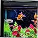 VANZACK 6pcs Acrylic Fish Feeder Bowls with Cups Easy to Install Compact Storage Dish for Aquatic Supplies for Fish Tanks and Aquariums