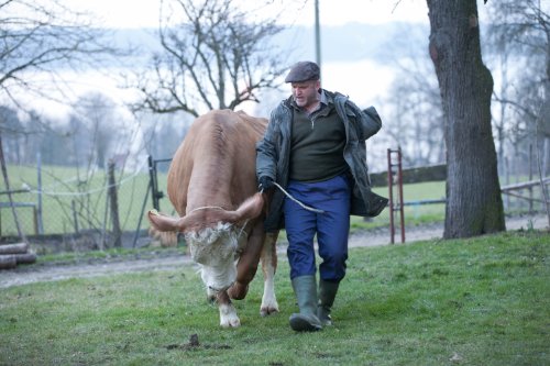 Hubert & Staller - Die ins Gras beissen/Der