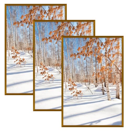 Golden State Art 12x18 Bronze Aluminum Poster Frame Acrylic Front 3 Pack