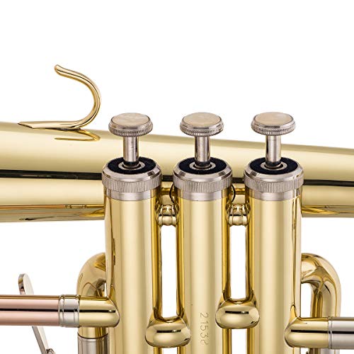 Jean Paul USA Flügelhorn (FH-430)