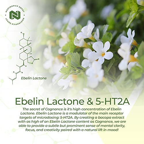 Cognance Enhanced Bacopa Capsules | 100Mg | 10% Ebelin Lactone | Bacopa Monnieri | Mood, Memory, & 5-Ht2A Activation #TOP3