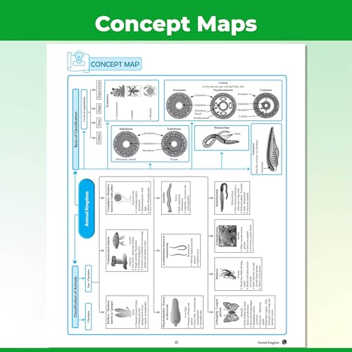 Image of PW CBSE Class 11 Question & Concept Bank (QCB) Physics, Chemistry, Biology Combo Set of 3 Books | Chapter-wise and Topic-wise Solved Questions For 2027 Exams with Competency Based Question