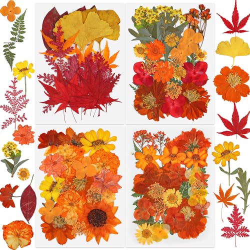 100 PCS Real Fall Dried Pressed Flowers Leaves Fall Natural