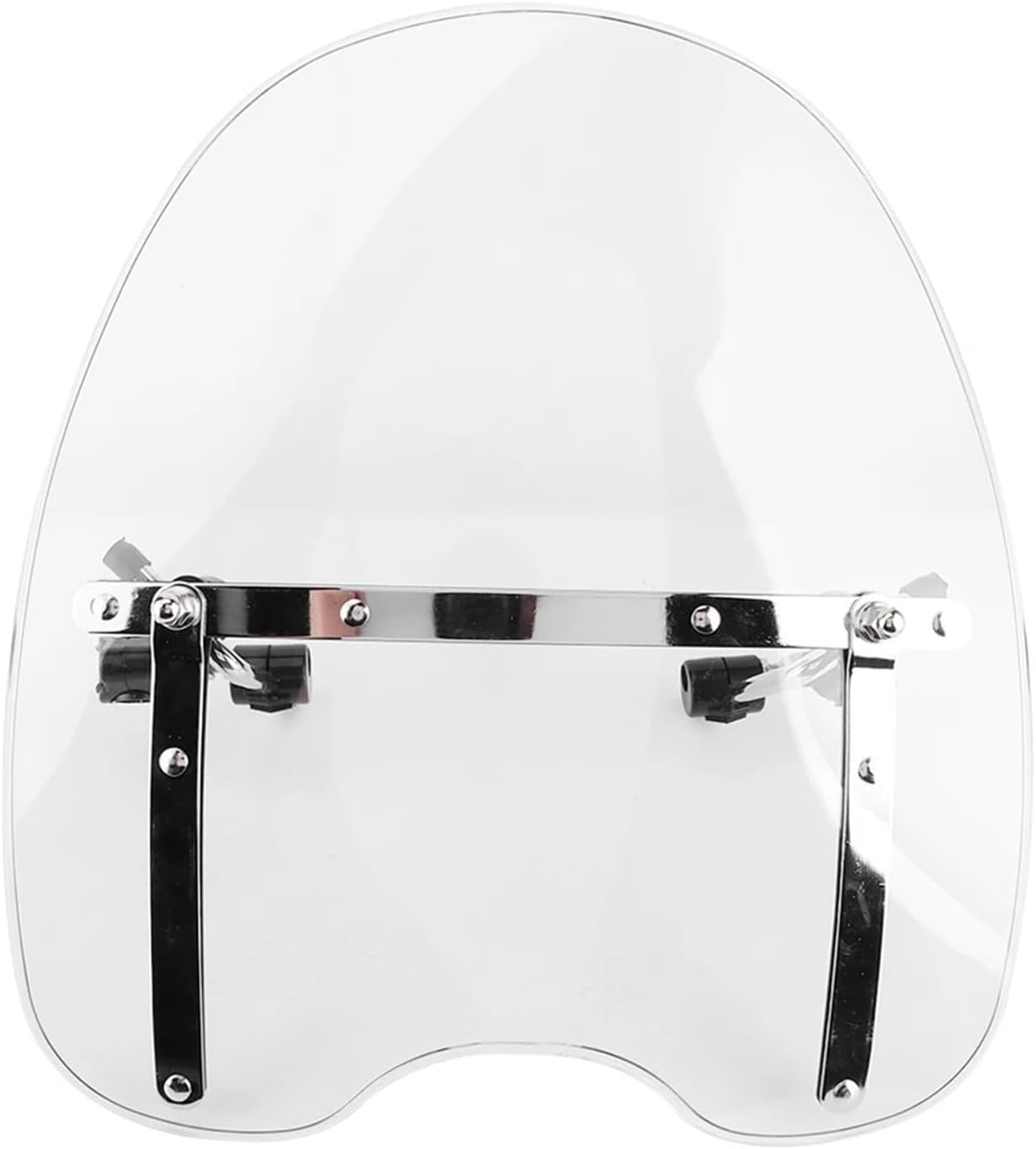 クリスマスセール】♯46 節約 特大 太斑 アガベ 赤猫錦 覆輪斑 縞斑 TC