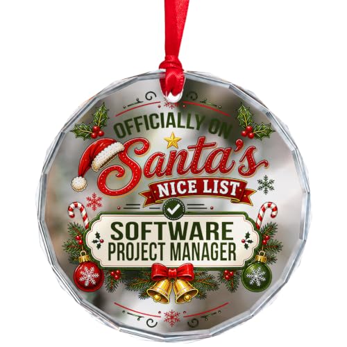 Santa's Nice List Software Project Manager Christmas Glass Circle Ornament