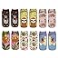 6 Pair-sloth